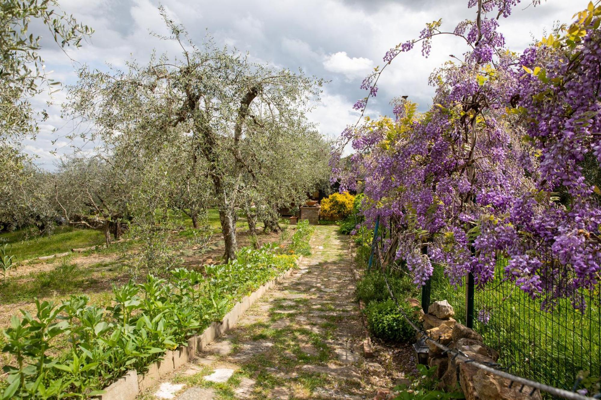 Il Poggio Dell'Eremita Appartement Rigomagno Buitenkant foto