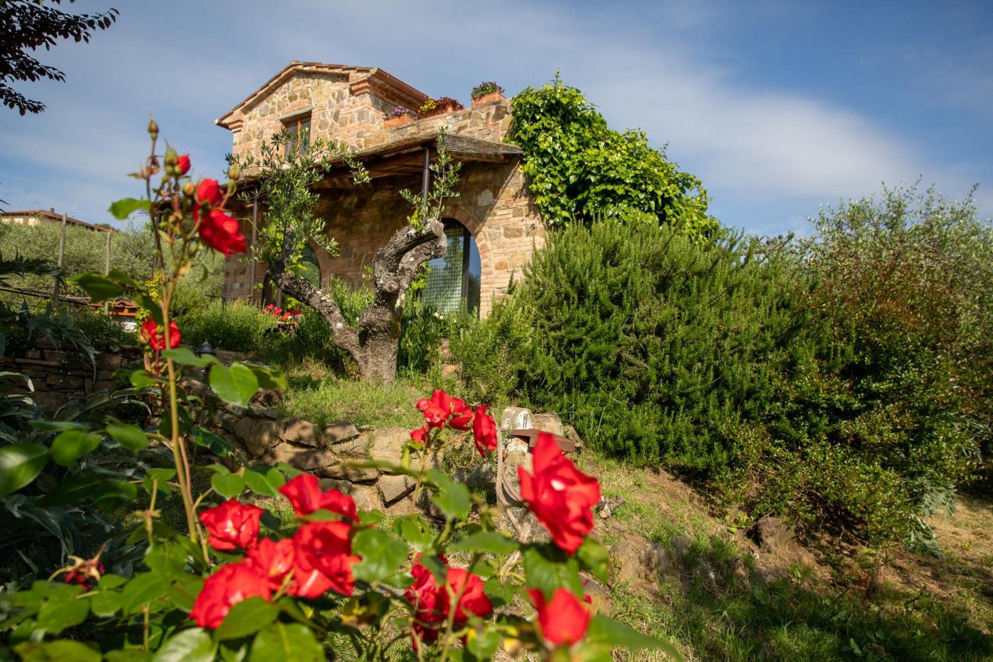 Il Poggio Dell'Eremita Appartement Rigomagno Buitenkant foto